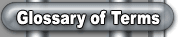 Glossary of Terms