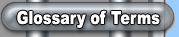 Glossary of Terms