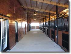 Equestrian Building Viewing Area