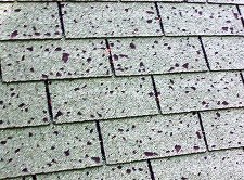 Steel Roofing: Hail, Hail the Gang’s all Here