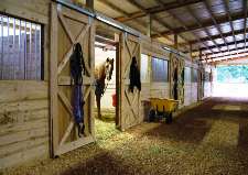 Horse Stalls: What Size?