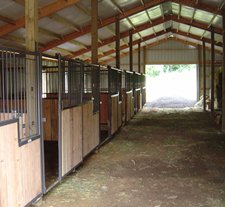 Stall Barns: Your Head? What About Your Horse?