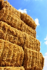 The Triple Whammy: Hay Storage in a Pole Barn