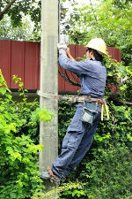 How Long Will Utility Poles Last?
