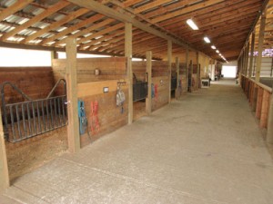Horse Barn Stalls