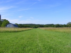 Grass Runway Strip