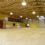 Choosing a Horse Riding Arena Structural System