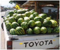 Watermelon Truck