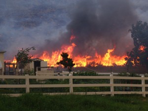 Residential Wildfire