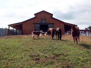 Hansen Buildings Horse Barn