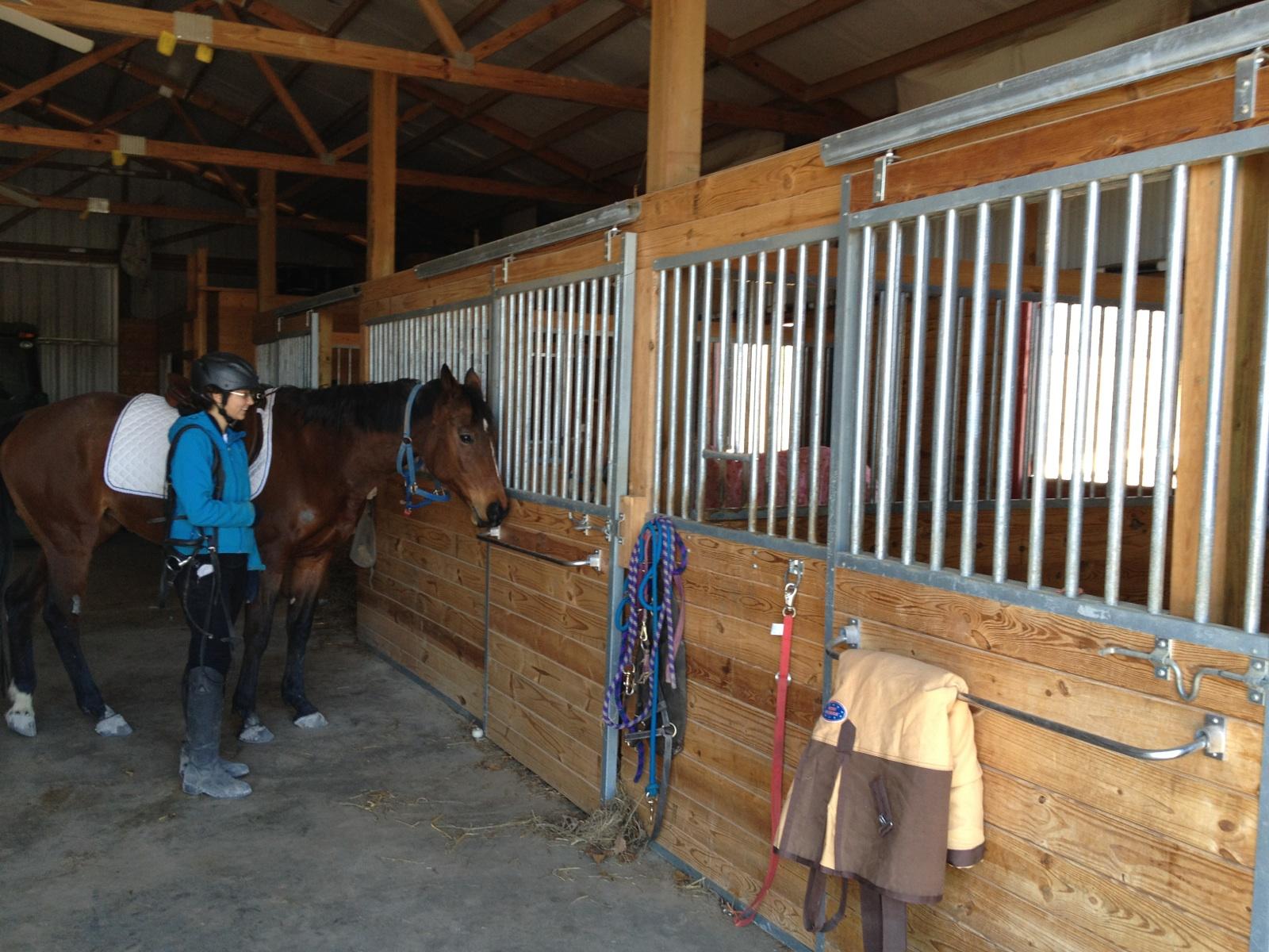 Nine Considerations for Your Post Frame Horse Stall Barn