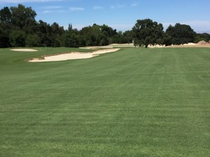 Golfing for Pole Barns