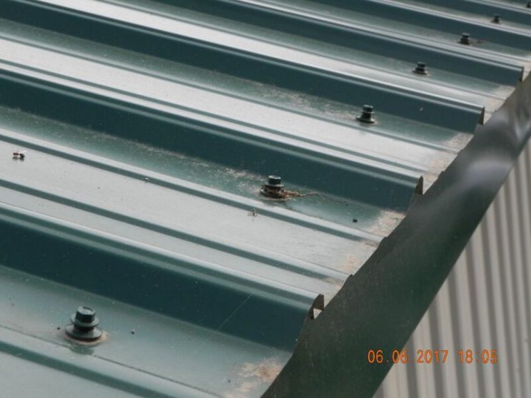 Screw Holes Predrill or Punch? Hansen Buildings