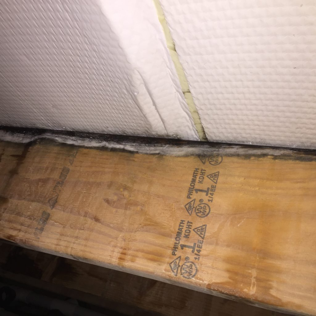 Mold in a Post Frame Building Attic