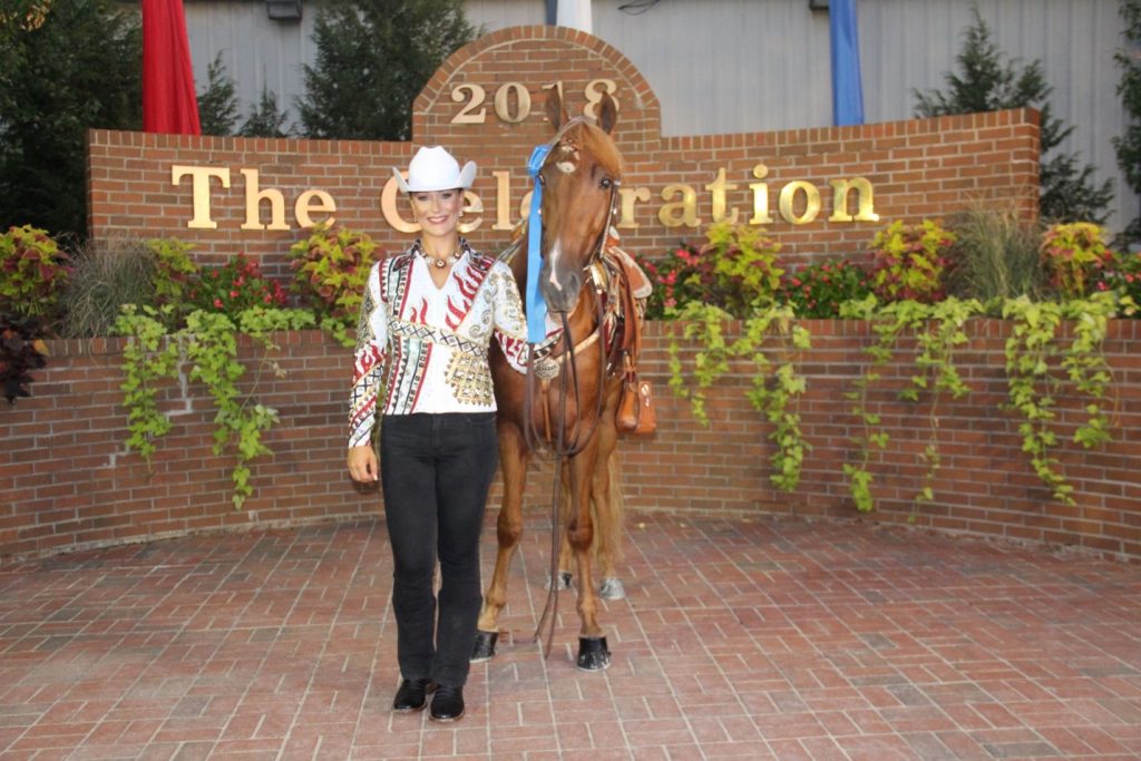 Planning Your Equestrian Riding Arena