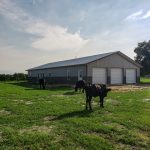 A Multi-Use Building, Backhoe or Auger, and Loft Floors