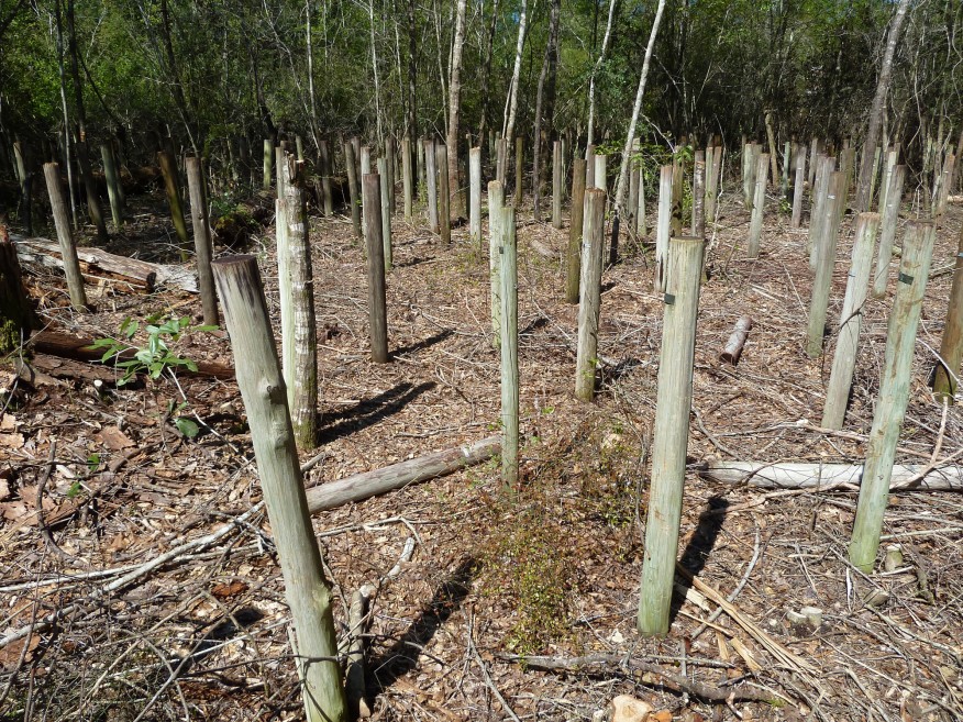 Protecting Posts from Rot