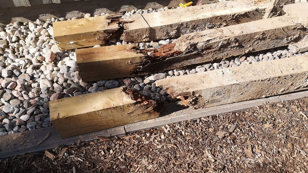 Canada Facing Premature Decay of Pressure Treated Columns